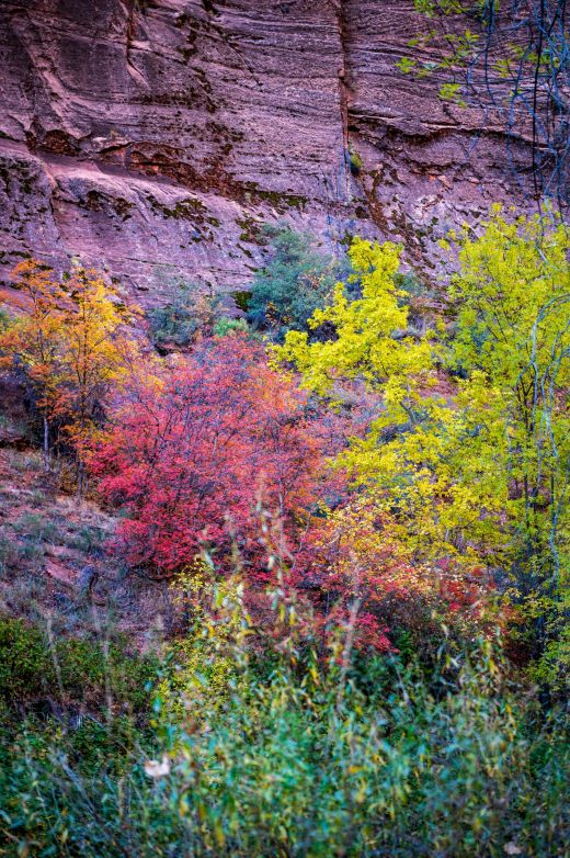 Zion