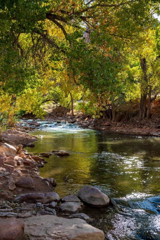 Zion