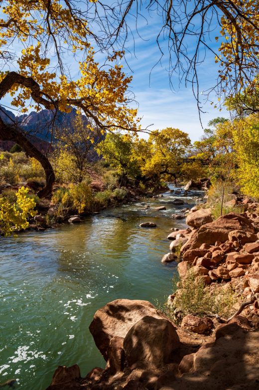 Zion