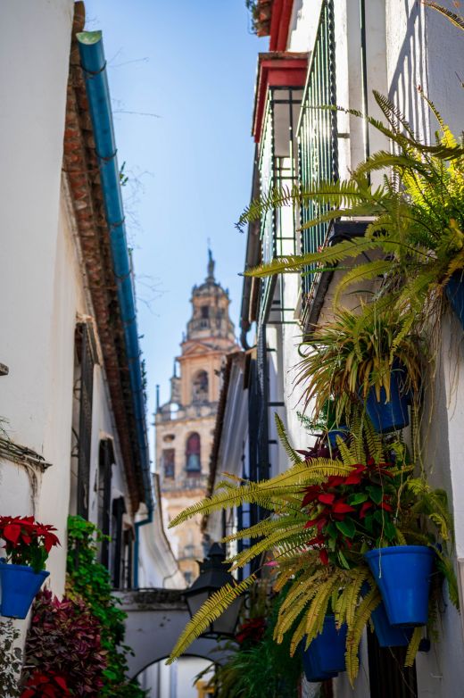 Calle de las Flores Kordoba