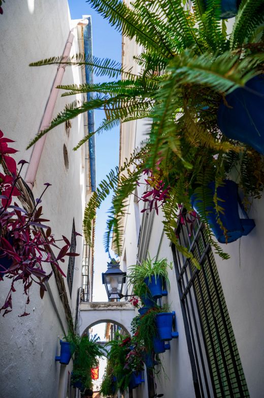 Calle de las Flores Kordoba