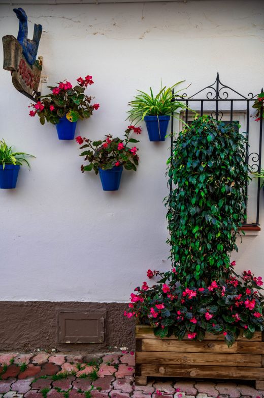 Marbella