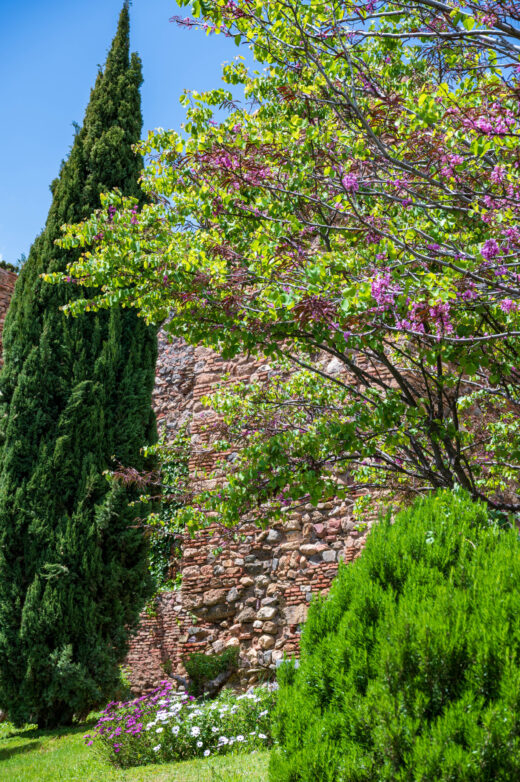Alcazaba Hiszpania