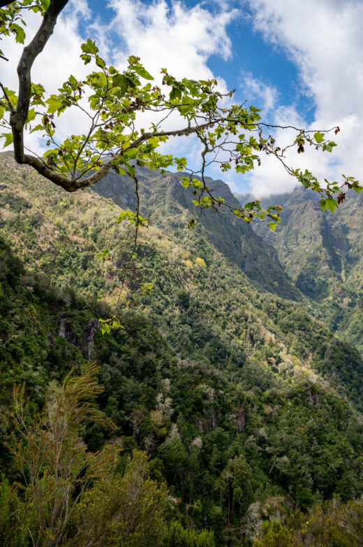 Levada dos Balcões Madera