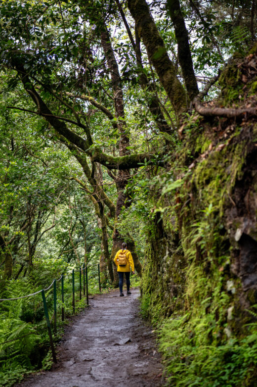 Levada dos Balcões