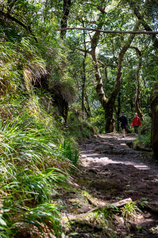 Levada dos Balcões