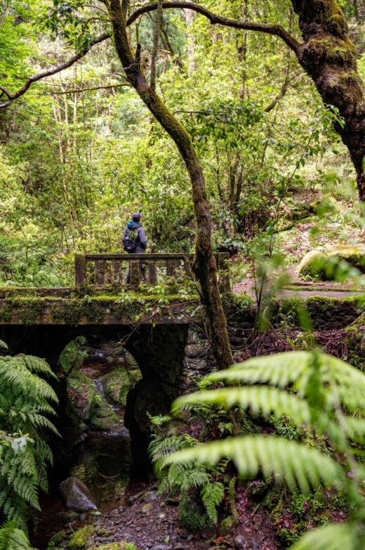 Levada dos Balcões