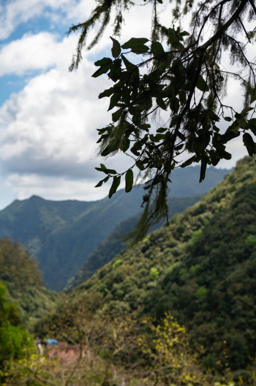 Levada dos Balcões