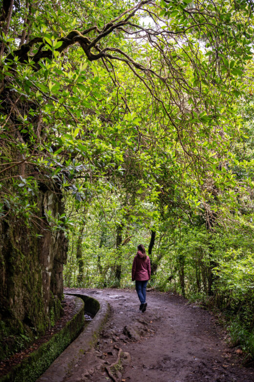 Levada dos Balcões