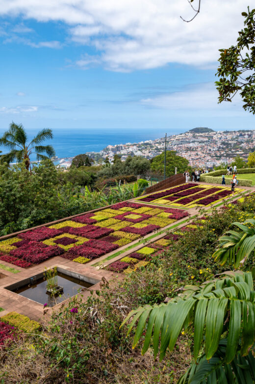 Funchal Ogród Botaniczny