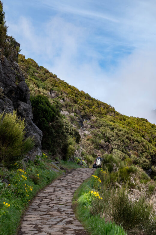 Pico Ruivo