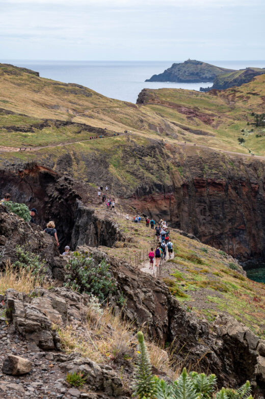 Ponta de São Lourenço