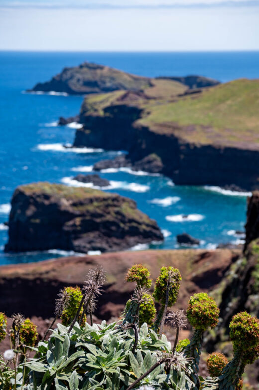 Ponta de São Lourenço