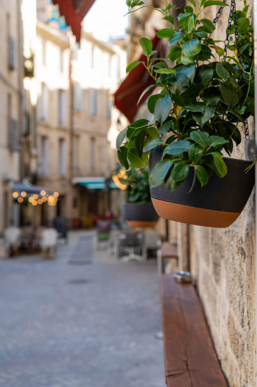Montpellier