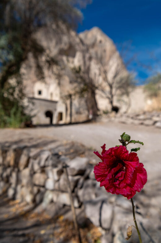 Green Tour Kapadocja